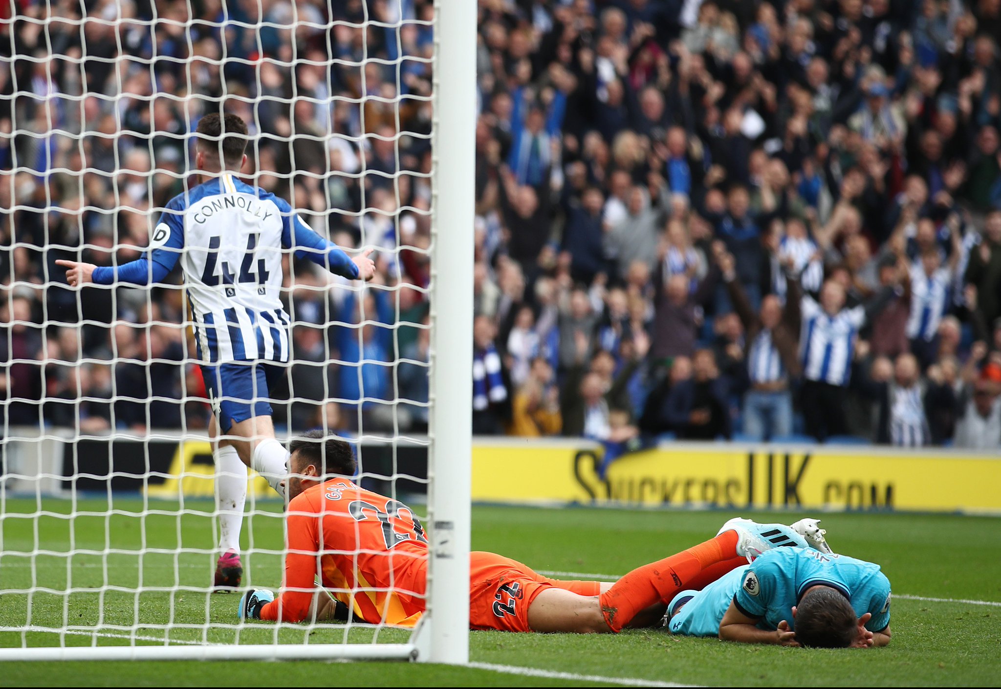 顾以往多次 顾以往多次